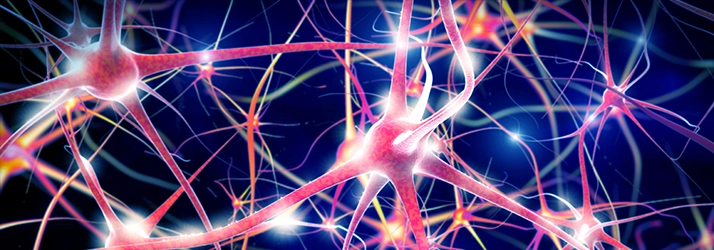Physical Therapy Clarksville TN Neurofeedback Physical Therapy Clarksville TN Neurofeedback